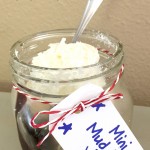 If the Suns Out, the Spoons are Out – Mini Ice Cream Mud Pies Recipe
